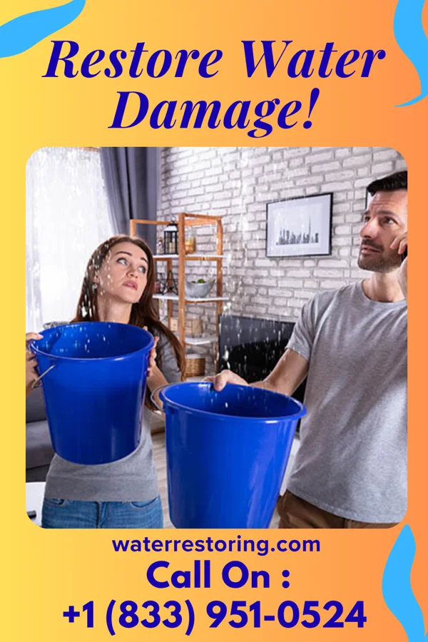 water restoration Peak Sewage Cleanup Professionals Sherwood