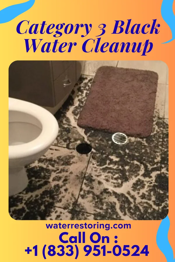 Category 3 Black Water Cleanup in Sherwood, OH