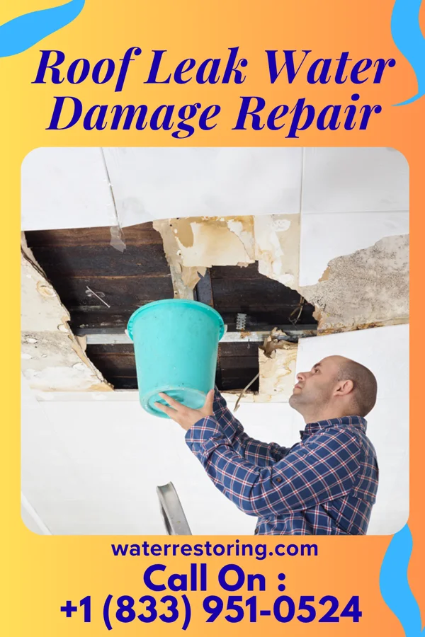 Roof Leak Water Damage Repair in Sherwood, OH