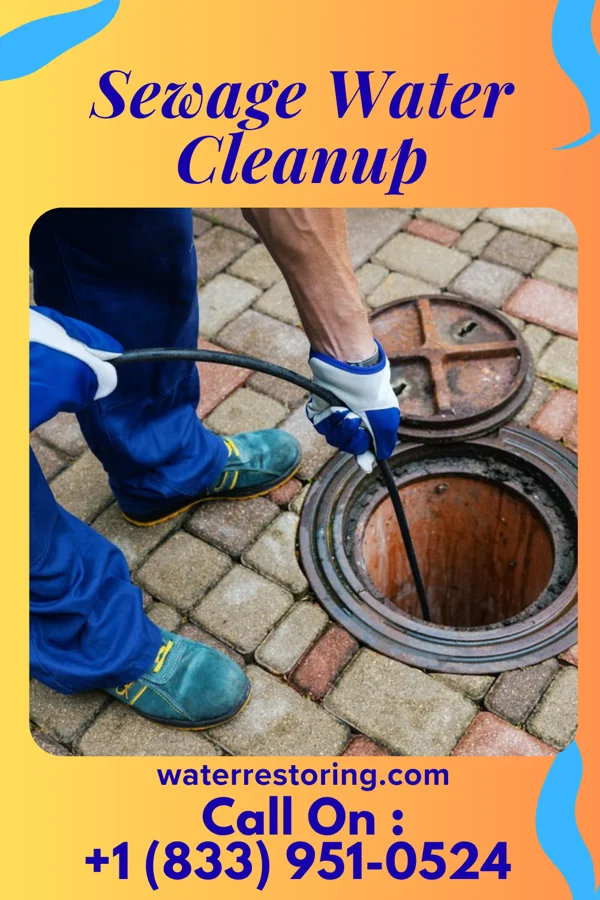 Sewage Water Cleanup in Sherwood, OH
