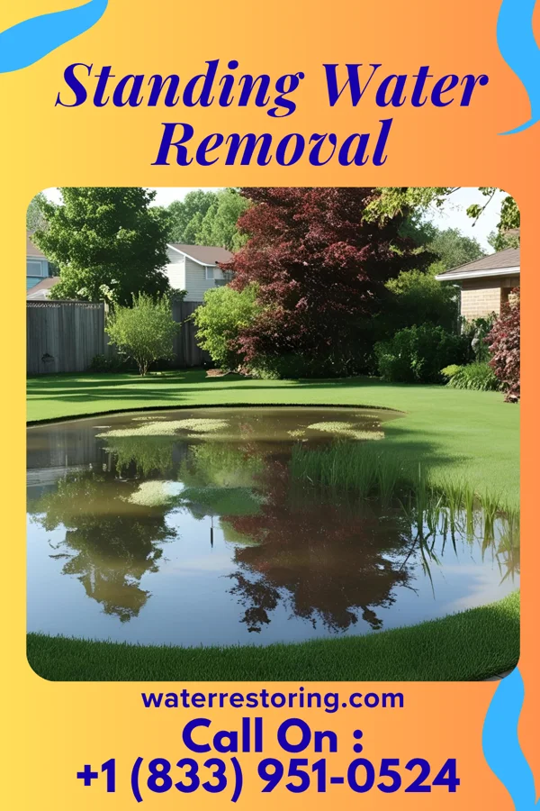Standing Water Removal in Sherwood, OH